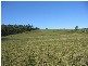 Childers QLD 4660