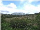 Biggenden QLD 4621