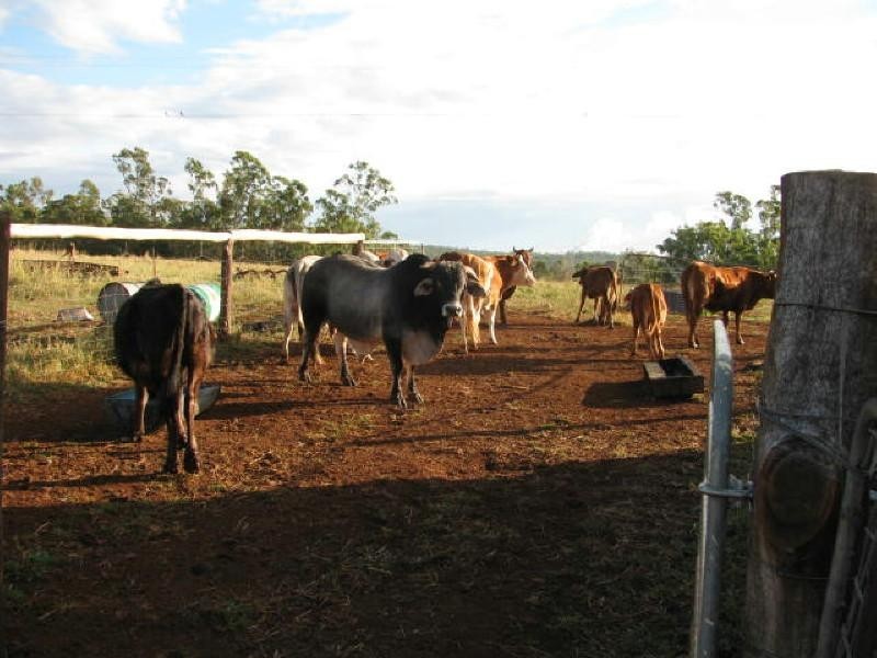 Apple Tree Creek QLD 4660