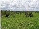 Gin Gin QLD 4671