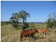 Gin Gin QLD 4671