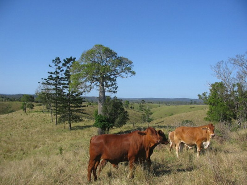 Gin Gin QLD 4671