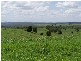 Gin Gin QLD 4671