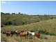 Gin Gin QLD 4671