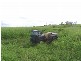 Gin Gin QLD 4671