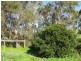 Cordalba QLD 4660
