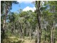 Buxton QLD 4660