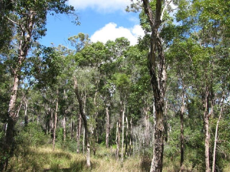 Buxton QLD 4660