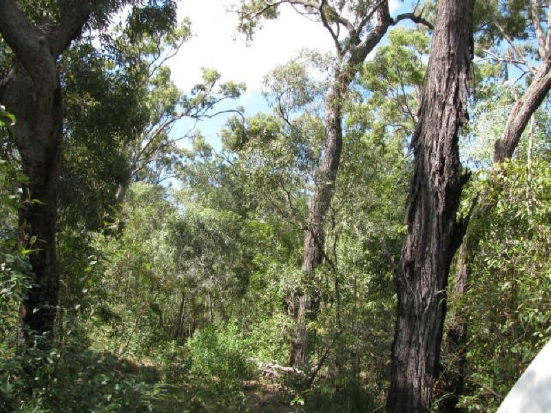 Buxton QLD 4660