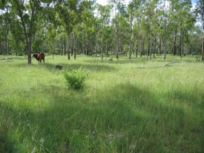 Gin Gin QLD 4671