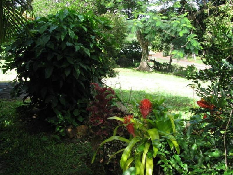 8 Macrossan Street, Childers QLD 4660