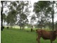 Gin Gin QLD 4671