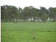 Gin Gin QLD 4671
