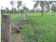 Gin Gin QLD 4671