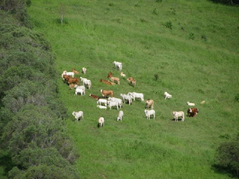 Morganville QLD 4671