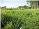 Cordalba QLD 4660