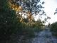 Woodgate QLD 4660