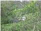 Woodgate QLD 4660