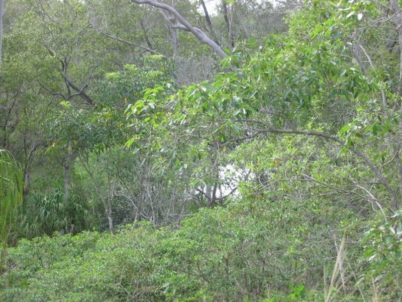 Woodgate QLD 4660