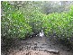 Woodgate QLD 4660