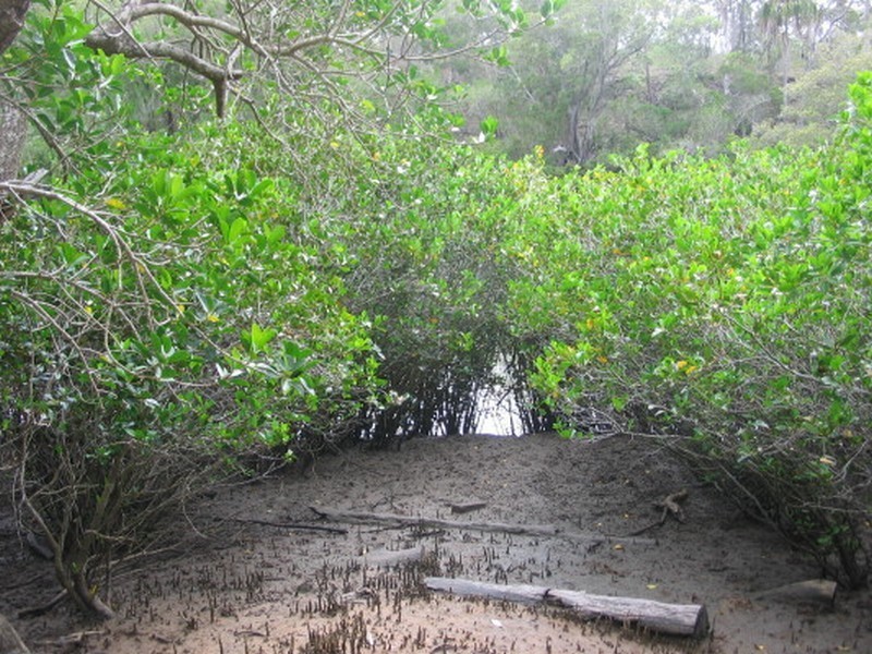 Woodgate QLD 4660