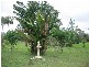 Woodgate QLD 4660