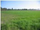 Gin Gin QLD 4671