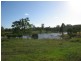 Apple Tree Creek QLD 4660