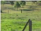 Apple Tree Creek QLD 4660