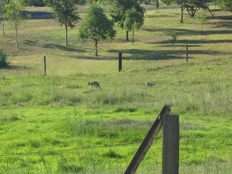 Apple Tree Creek QLD 4660