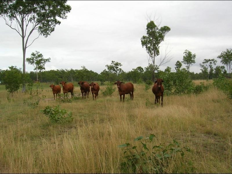 Booyal QLD 4671