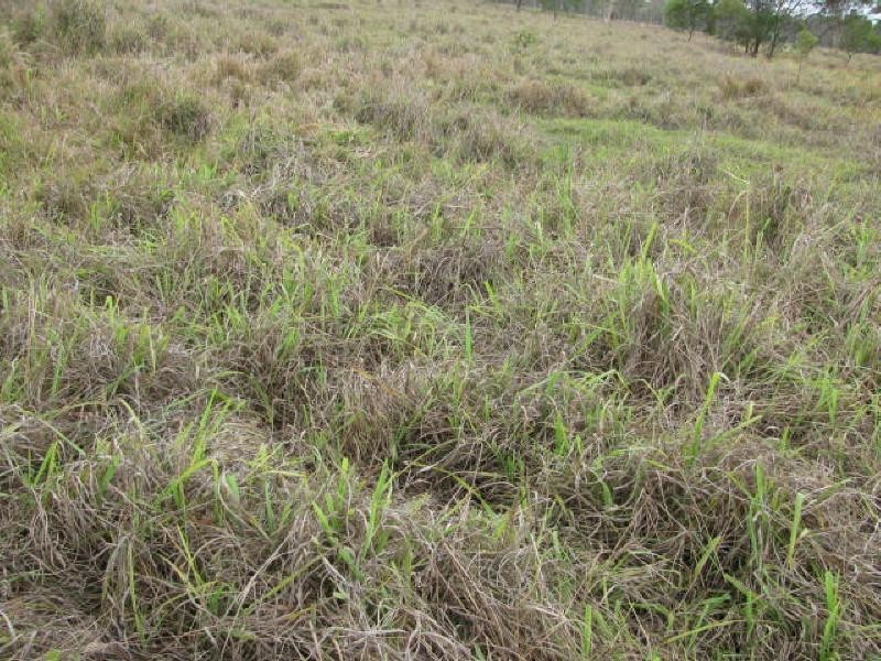 78 River Road, Buxton QLD 4660