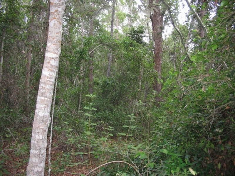 Childers QLD 4660
