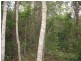 Childers QLD 4660