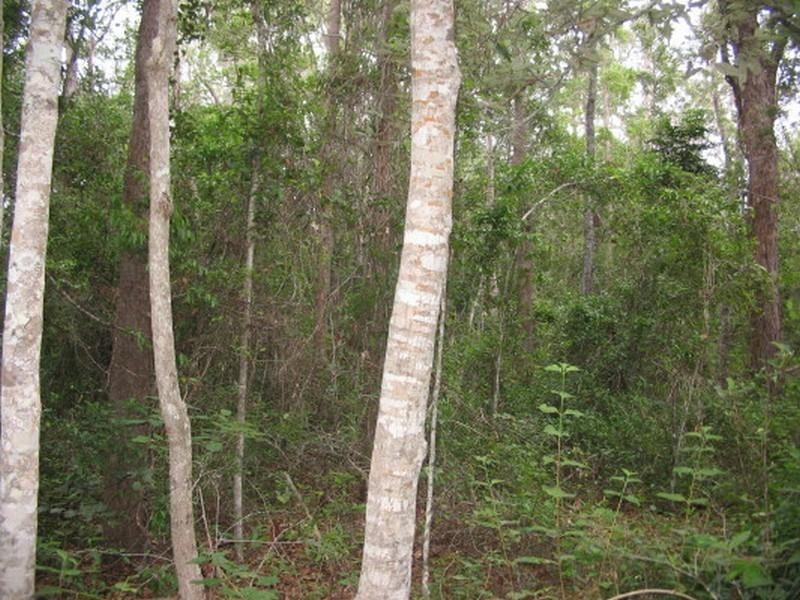 Childers QLD 4660