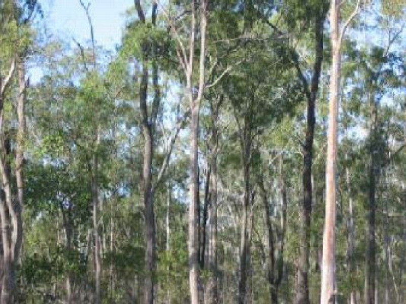 Childers QLD 4660