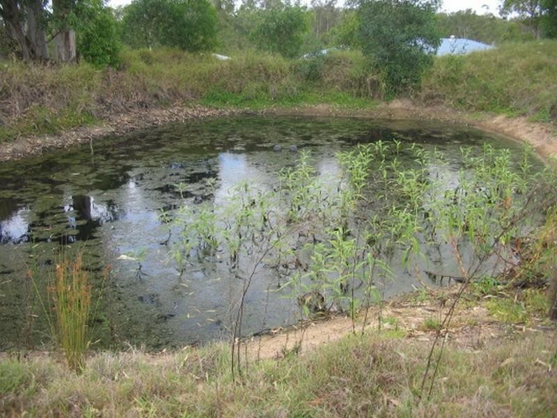 Apple Tree Creek QLD 4660