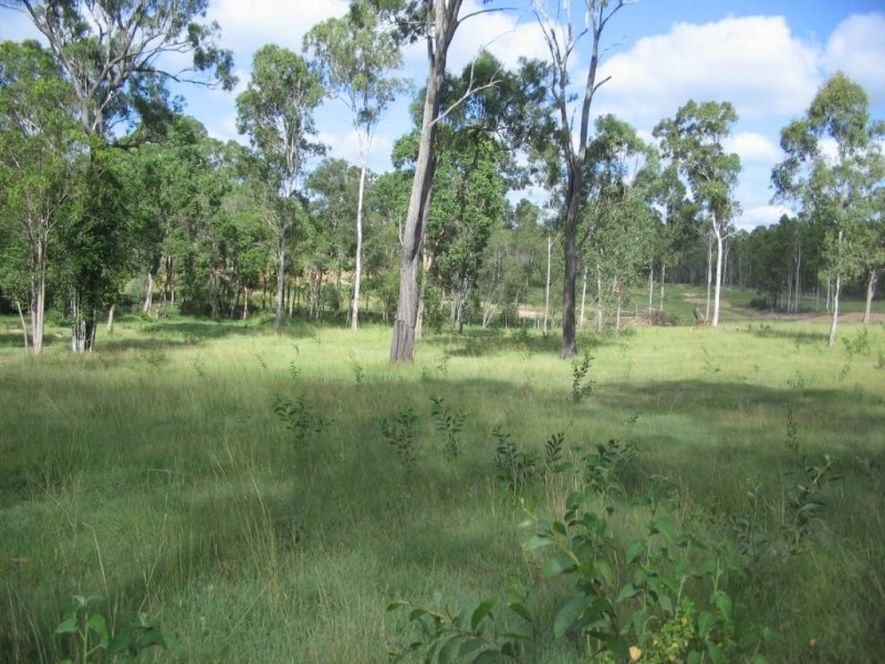 Apple Tree Creek QLD 4660