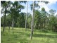 Apple Tree Creek QLD 4660