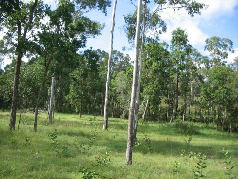 Apple Tree Creek QLD 4660