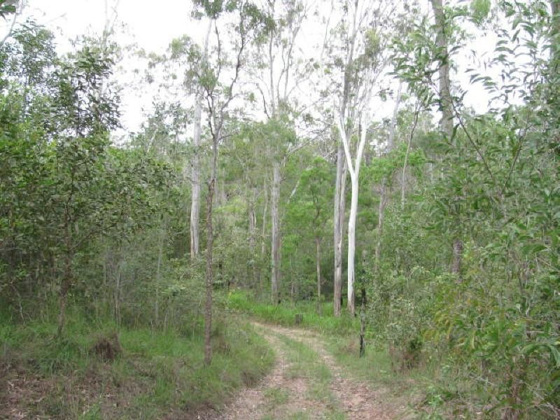 Buxton QLD 4660