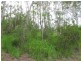 Buxton QLD 4660
