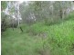 Buxton QLD 4660