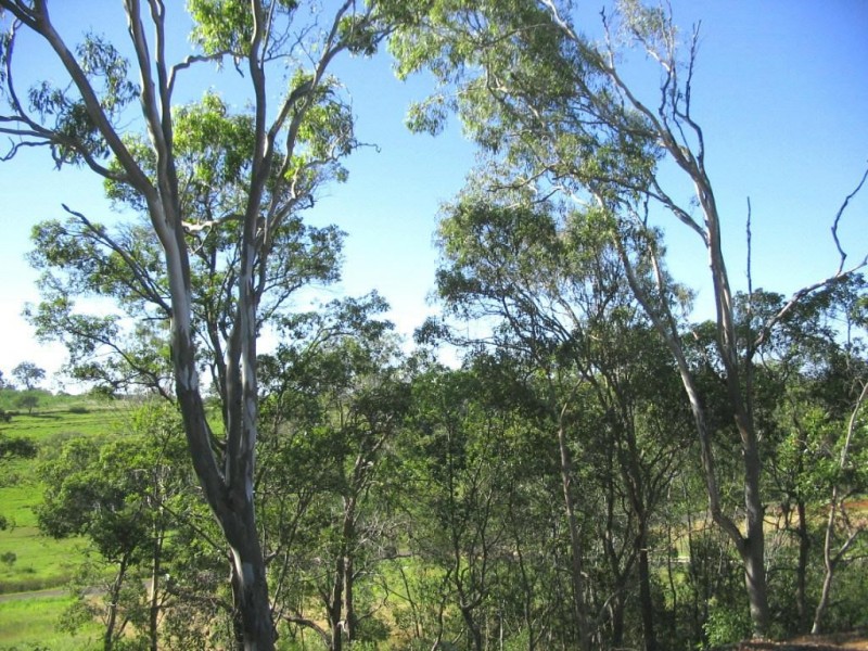 Apple Tree Creek QLD 4660