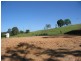 Apple Tree Creek QLD 4660