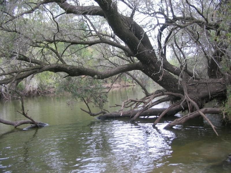 Booyal QLD 4671