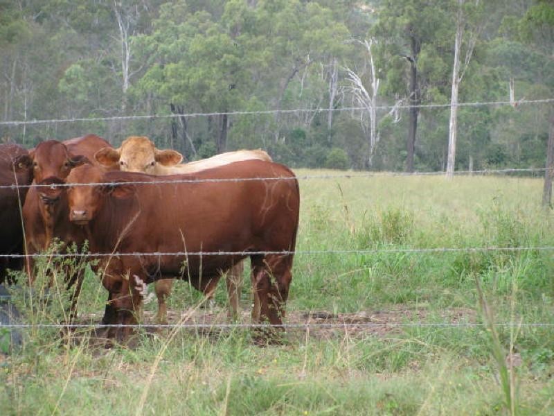 Booyal QLD 4671