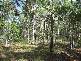 Childers QLD 4660
