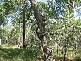 Childers QLD 4660