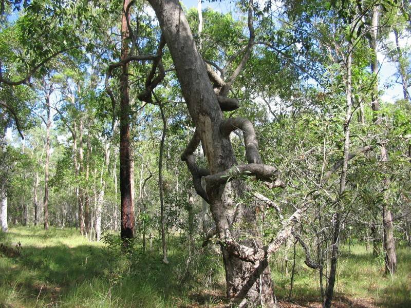 Childers QLD 4660